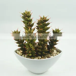 10.75 Inch Artificial Potted Plant Artificial Plant for Home Decor Wholesale thumbnail-1