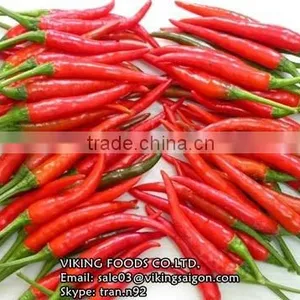Fresh/Dried/Frozen/Powder Red Hot Chili From Vietnam! thumbnail-3