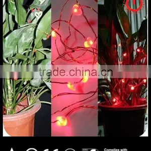 2016 Copper Wire String Lights thumbnail-1