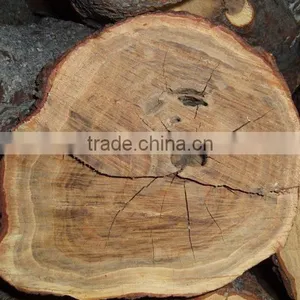 HIGH GRADE WILD HARVEST Sandalwood Log thumbnail-1