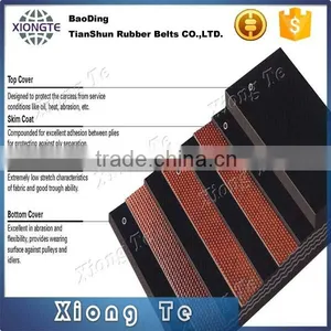 Polyester Conveyor Belt thumbnail-4