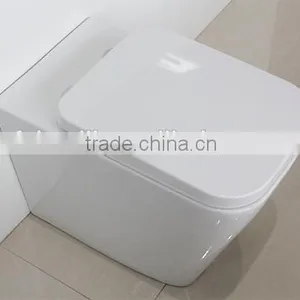 Watermark Australian Bathroom Ceramic Floor Toilet Bowl With Concealed Cistern 2051B thumbnail-4