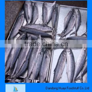 Best New Frozen Mackerel Fish thumbnail-1