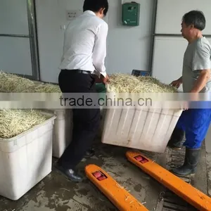 Automatic Bean Sprouting Machine thumbnail-4