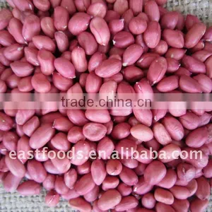 2014 Crop Shandong Peanut thumbnail-3