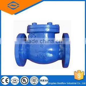 Full Bore Swing Check Valve thumbnail-1