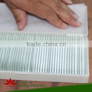Hot Sale 50pcs Student Mixed Microscope Prepared Slides Set thumbnail-2