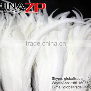 Top Supplier ZPDECOR Bulk Sale 35-40cm Length Natural Bleached White Fully Dyed Rooster Chicken Feathers thumbnail-6