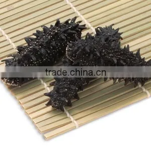 Japanese Dried Sea Cucumber as Hokkaido Marine Products at Reasonable Prices thumbnail-4