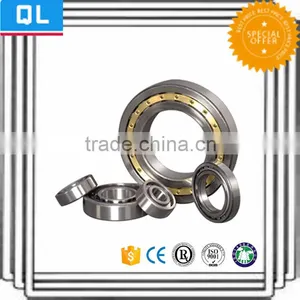 Hot Selling China Manufature Cylindrical Roller Bearing Parallel Roller Bearing thumbnail-4