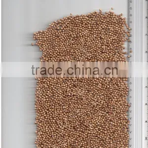 CORIANDER SEEDS thumbnail-1