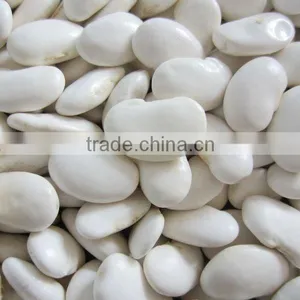 Big Size White Beans White Haricot Beans thumbnail-2