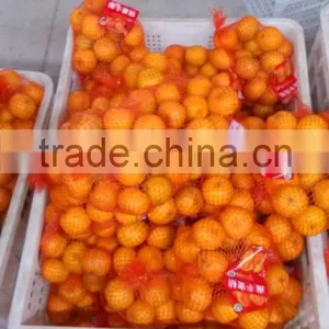 Chinese Fresh Mandarin Orange thumbnail-3