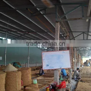 COIR MAT FOR ROAD PAVING /COCONUT FIBER MAT-Ms Hang +84975532780 thumbnail-1