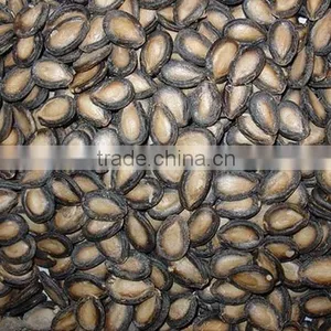 Watermelon Seeds thumbnail-1