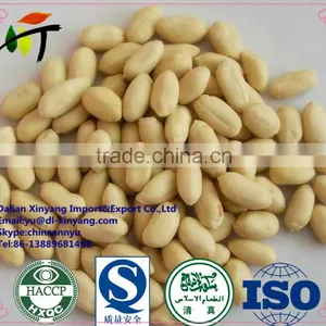 New Crop Blanched Peanut thumbnail-4