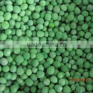 New Crop Frozen Vegetable thumbnail-4