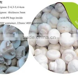 Frozen Delicate Champignon Mushroom/white Button Mushroom thumbnail-4