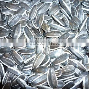 New Crop Sunflower Seeds in Shell 20/64,22/64,24/64 thumbnail-1