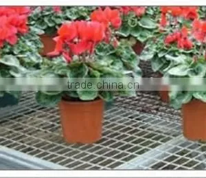 Galvanized Steel Gridlines for Seedbed Greenhouse thumbnail-1