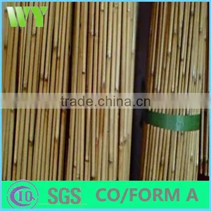 WY-SY for Home Adornment Natural Eco-friendly Bamboo Reed Poles thumbnail-1