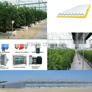 Nursery, Hydroponics, NFT, Hydroponic Fodder and Aeroponics for Greenhouse Production thumbnail-2