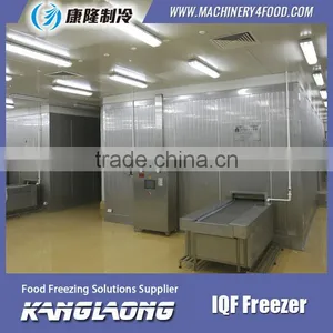 New Brand Spiral Conveyor Freezer Made In China thumbnail-1