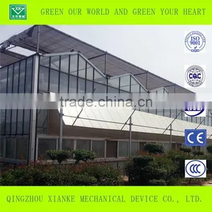 Tropical Multi Span Greenhouse for Agriculture thumbnail-4