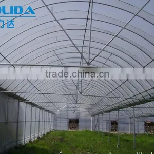 8m/9m/10m Single Span Tunnel Greenhouse For Sale thumbnail-3