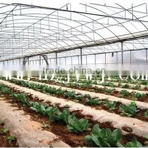 Multi-span Greenhouse thumbnail-1