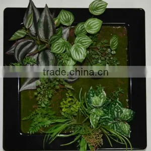 SJ400930 ARTIFICIAL CACTUS ARRANGEMENT thumbnail-3
