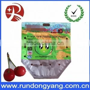 Stand Up Pouch Fruit Packaging Bag With Handle thumbnail-6