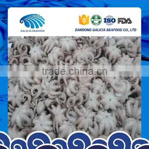 Short Legged Octopus thumbnail-1