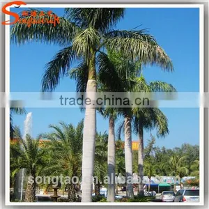 Led Palm Tree Light Led Outdoor Solar Tree Lights Coconut Palm Tree thumbnail-2