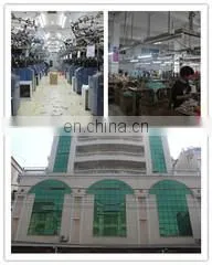Shantou Wanshifa Industry Co., Ltd. company overview - view 1 thumbnail