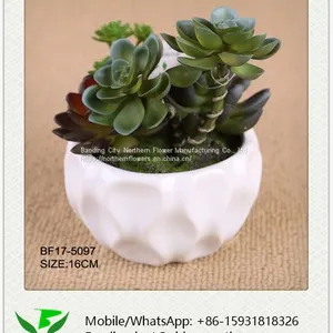 Home Garden Decoration Artificial Succulent thumbnail-1