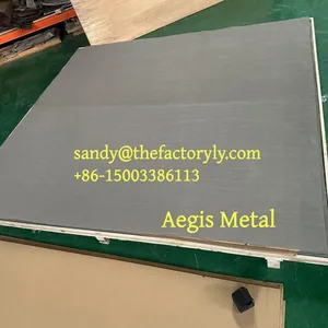 Raney Nickel Screen 40 46 60 10 100 Mesh Raney-Ni Cotaed Nickel Mesh Electrodes for Alkaline Water Electrolysis thumbnail-2