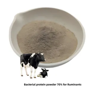 Premium Magnesium Protein Amino Acid Chelated Magnesium Feed Additive for Livestock and Poultry thumbnail-3