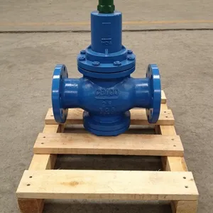 304 Stainless Steel Marine Self Closing Valve DN15-DN50 PN16 Flanged End Automatic Closing thumbnail-1