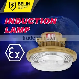Free Maintenance and Energy Saving Waterproof and Dustproof Anticorrosive Ceiling Light thumbnail-1