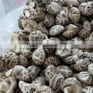White Flower Dry Mushroom With FDA thumbnail-2