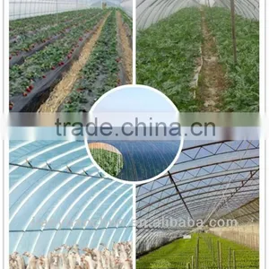 China Manufacturer Agriculture PE Film thumbnail-1
