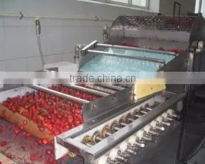 Nanjing Frostar Fruits & Vegetables Co., Ltd. company overview - view 1 thumbnail
