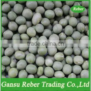Green Beans With Green Skin thumbnail-1
