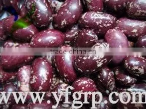 China Red Speckled Kidney Beans With Cheap Price thumbnail-1