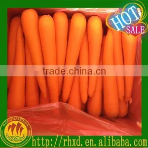 Farmland Fresh Red Carrots Supplier thumbnail-1