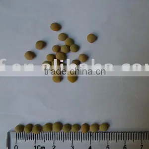 Green Lentil thumbnail-1