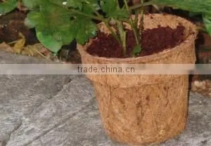Coir Pot thumbnail-1