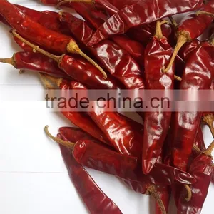 Indo- 5 Chilli/US- 5/Endo 5 Chilli Exporters thumbnail-2