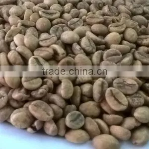 Manufacturer of Vietnam Wet Polished Robusta Green Coffee Beans Screen 18 thumbnail-3